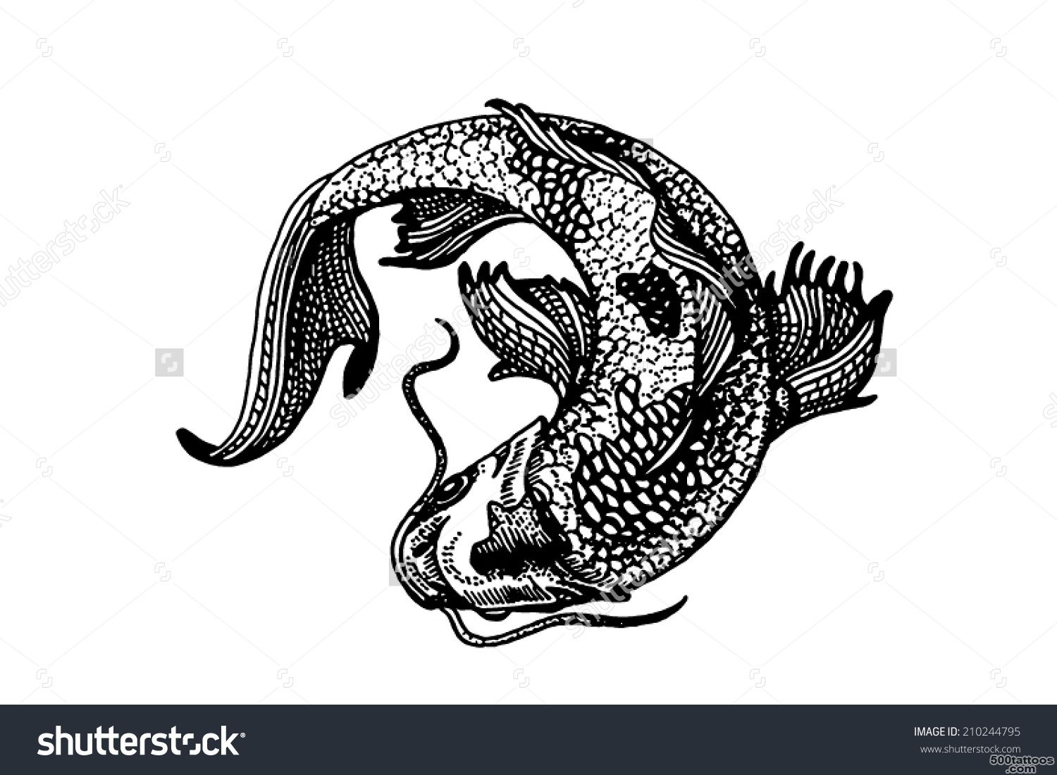 Tattoo Or Emblem Style Koi Fish Curled Stock Vector Illustration ..._28
