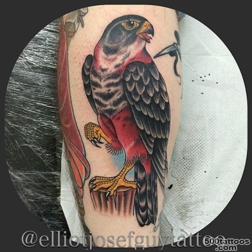 Elliotjosefguytattoo, Just made this falcon tattoo. Thanks..._5