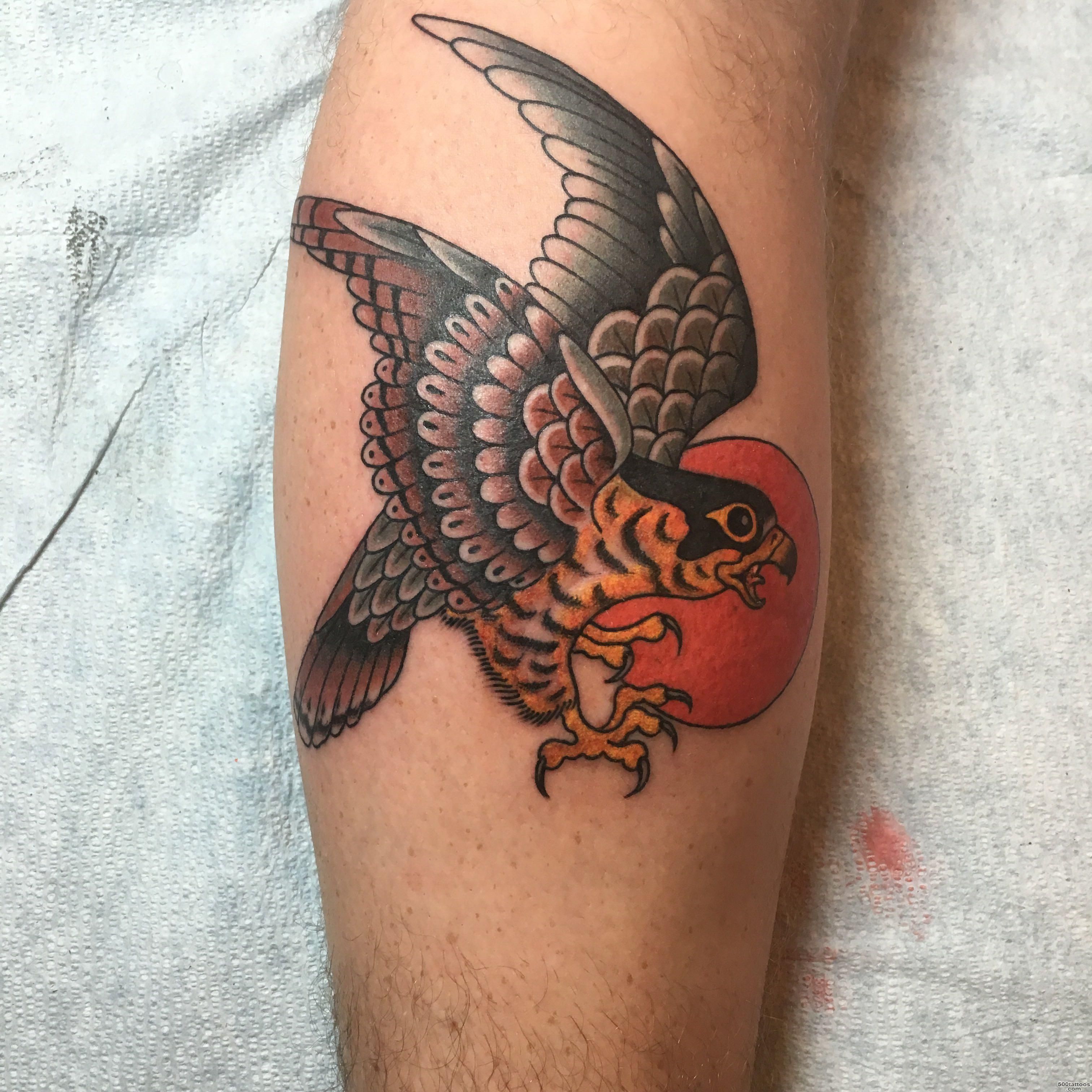 Falcon, by Brian at Noodles Tattoo Shop in Warrenville, IL  tattoos_28