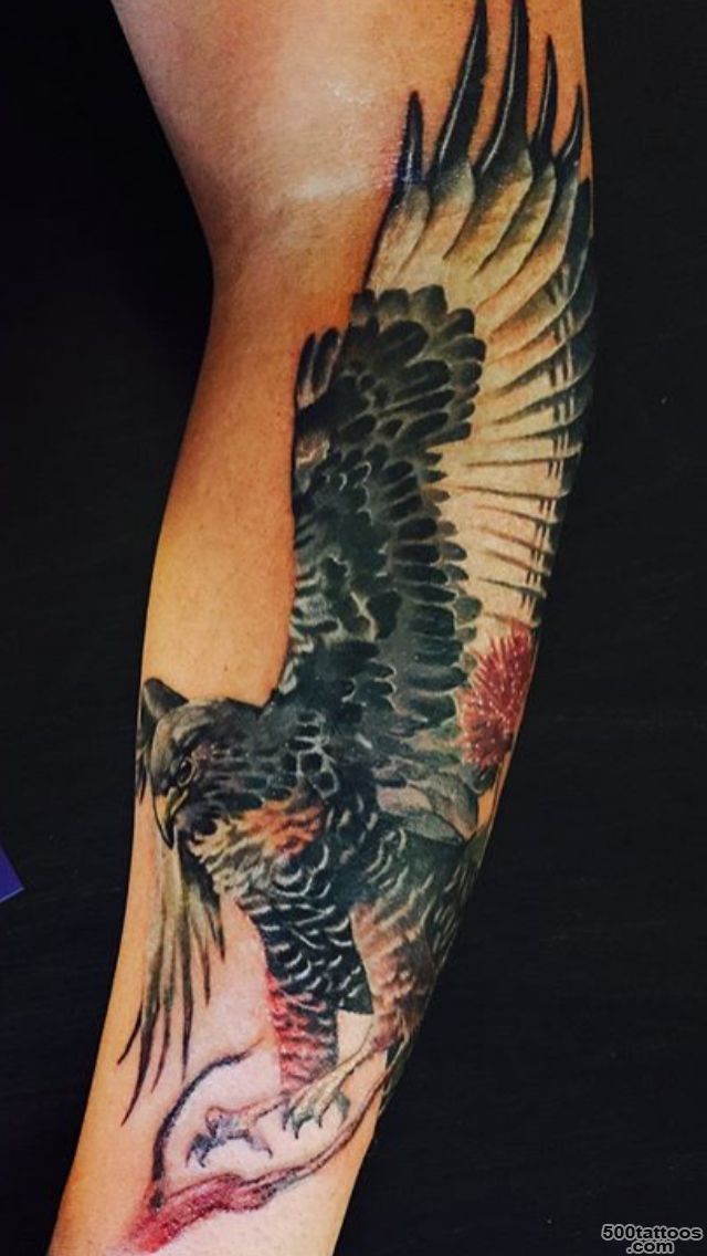 Falcon tattoo on forearm  Tattoo ideas  Pinterest  Falcon ..._17