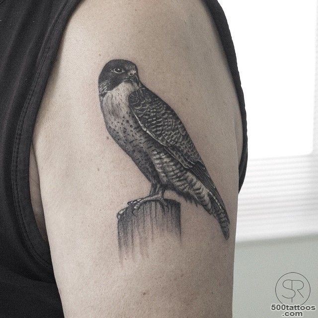 Realistic Falcon tattoo on Shoulder  Best Tattoo Ideas Gallery_22