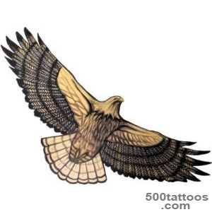FALCON PICTURES, PICS, IMAGES AND PHOTOS FOR YOUR TATTOO INSPIRATION_46