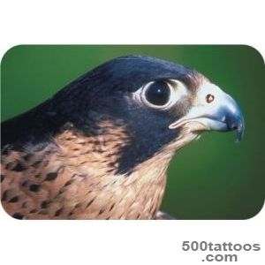 Meaningful Falcon Tattoo Ideas_40