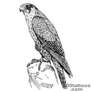 Peregrine falcon  Tattoo ideas lt3  Pinterest  Falcons _16
