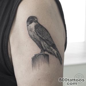 Realistic Falcon tattoo on Shoulder  Best Tattoo Ideas Gallery_22