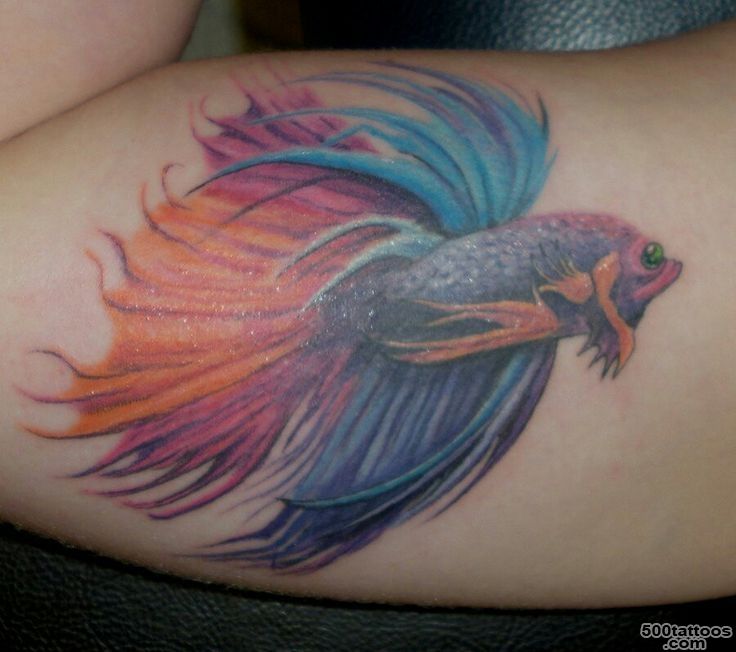 Unique Fish Tattoos  Get New Tattoos for 2016 Designs and Ideas ..._36
