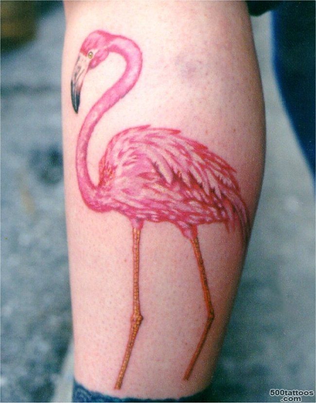 15+ Flamingo Tattoos On Leg_11