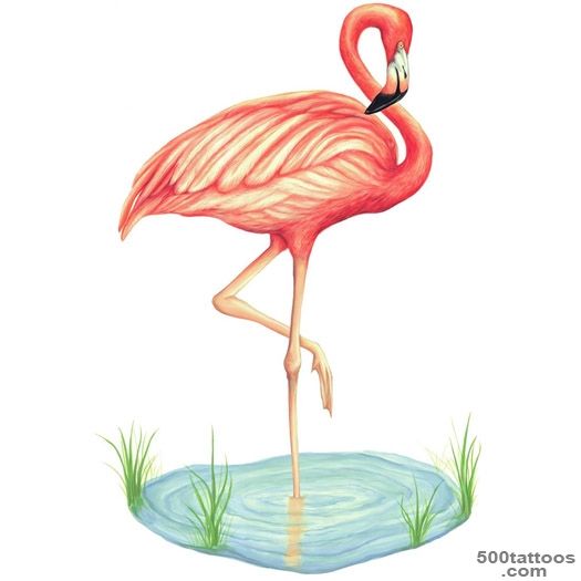50+ Amazing Flamingo Tattoo Designs_40
