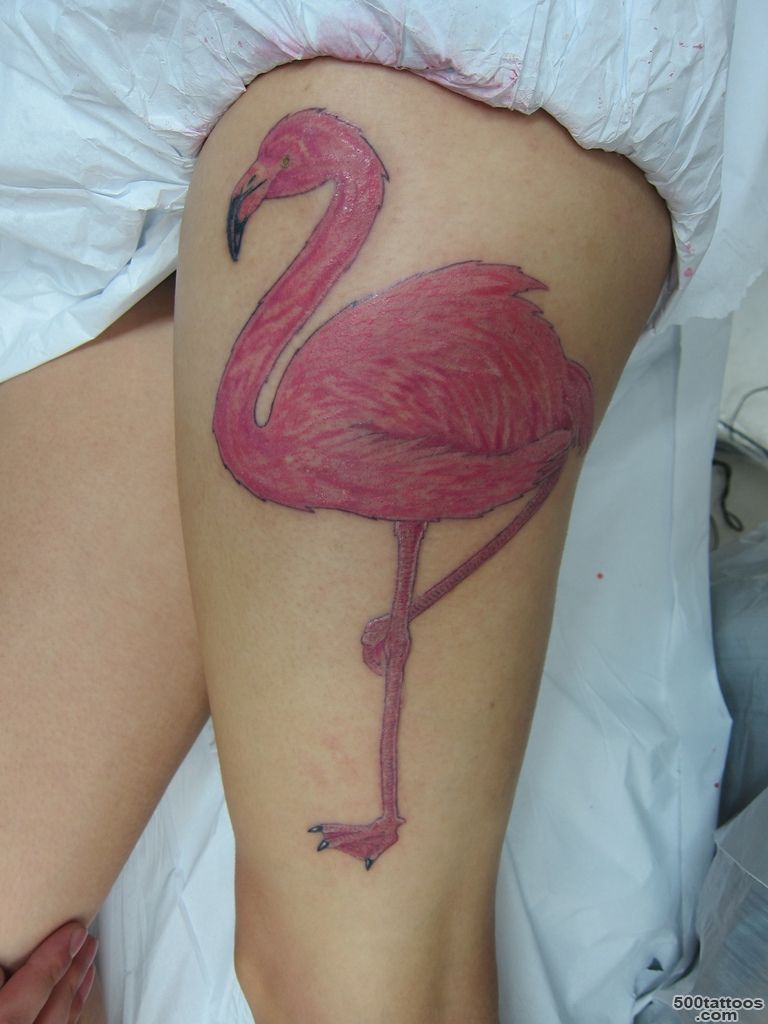 Tatuagem Flamingo Tattoo  Micael Faccio  Flickr_49