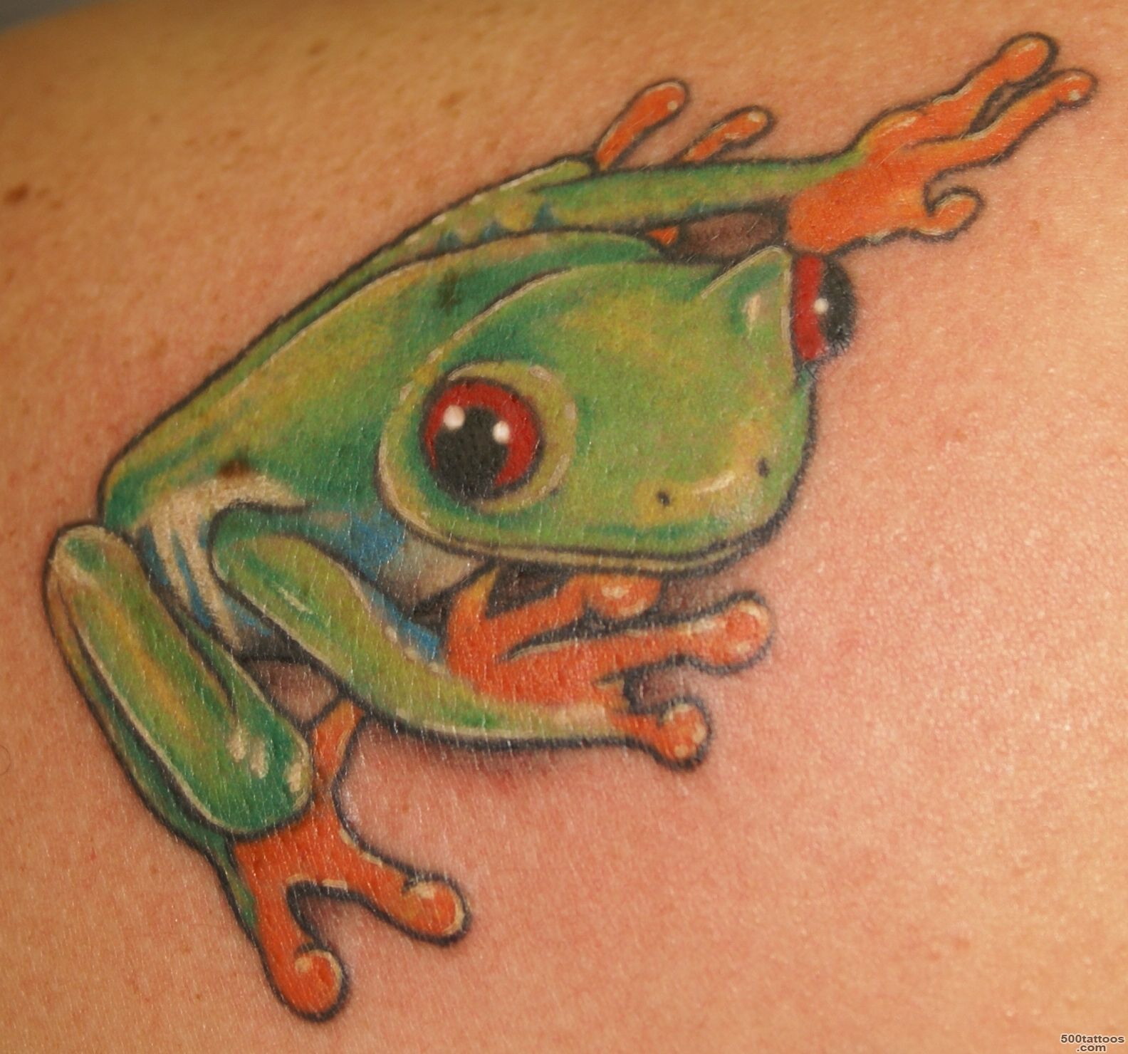 Frog Tattoos   Designs and Ideas_6