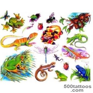 Frog Tattoos, Designs And Ideas  Page 6_20