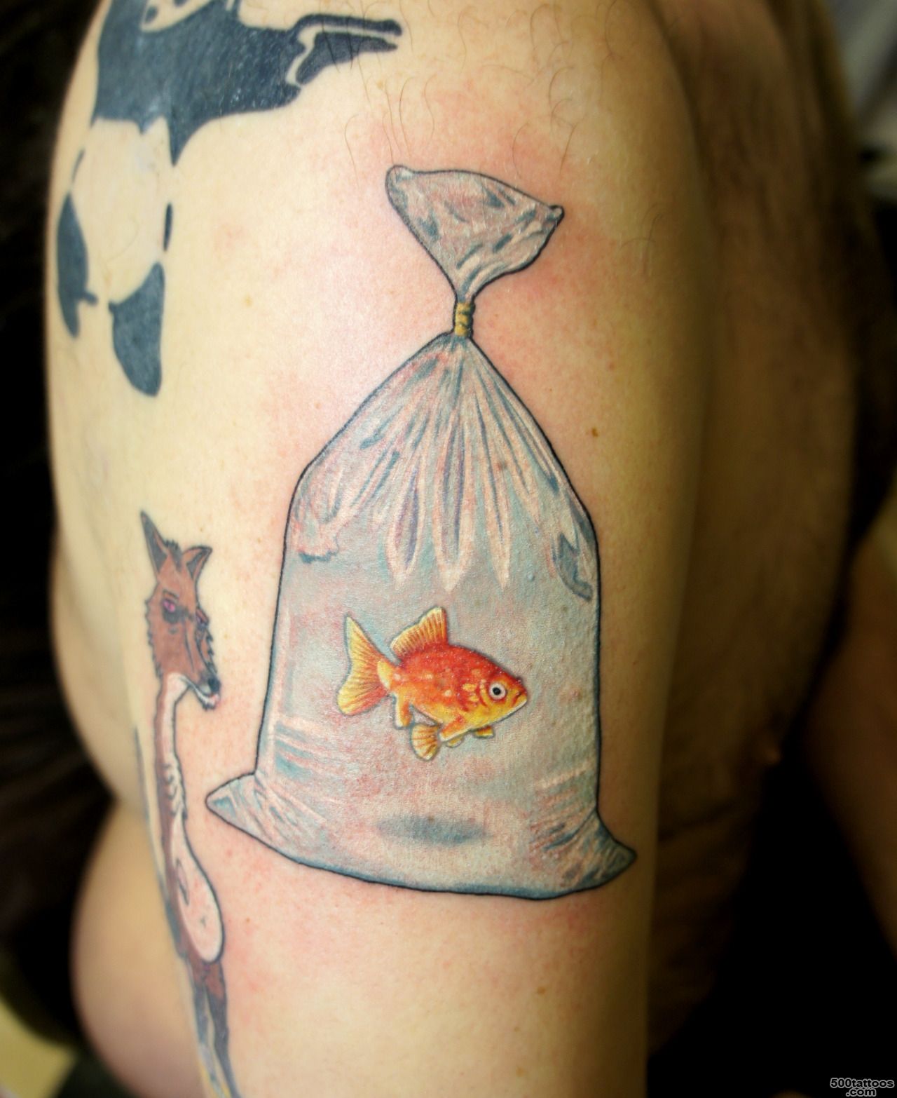 House of mojo tattoo parlour — goldfish in a bag. Loved doing this!!!_43