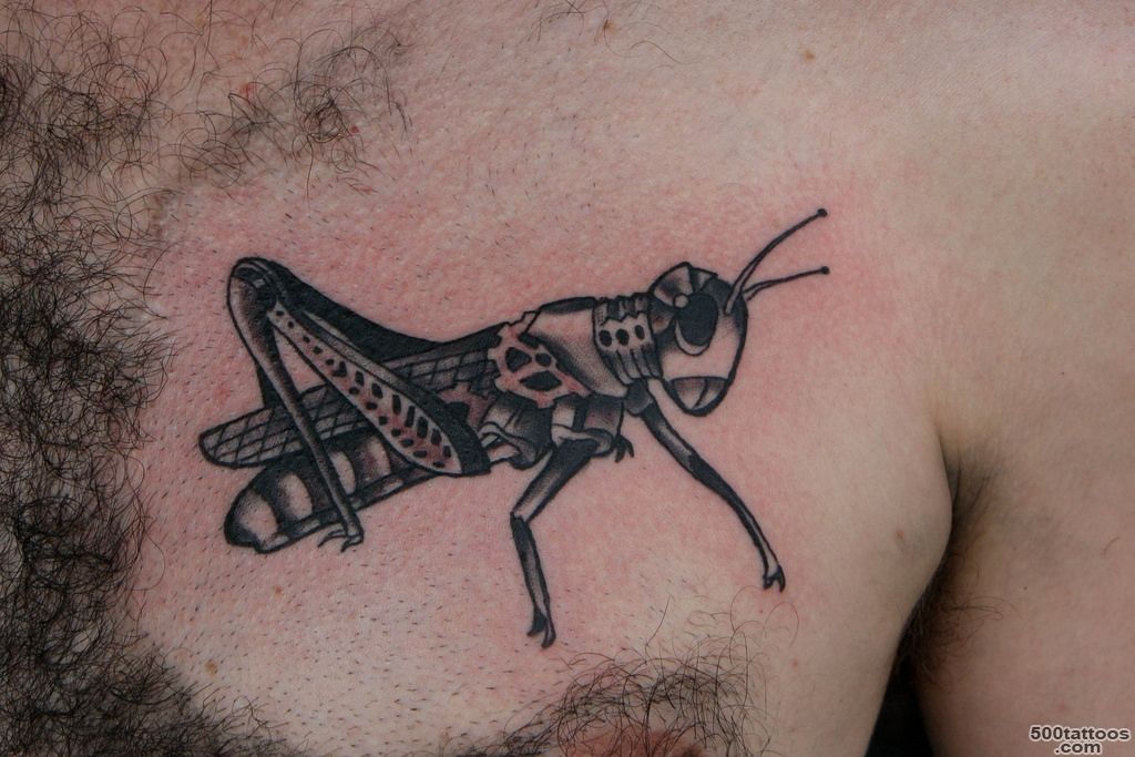 biomech grasshopper tattoo  I tattoo at Tattoo Boogaloo, 52…  Flickr_7