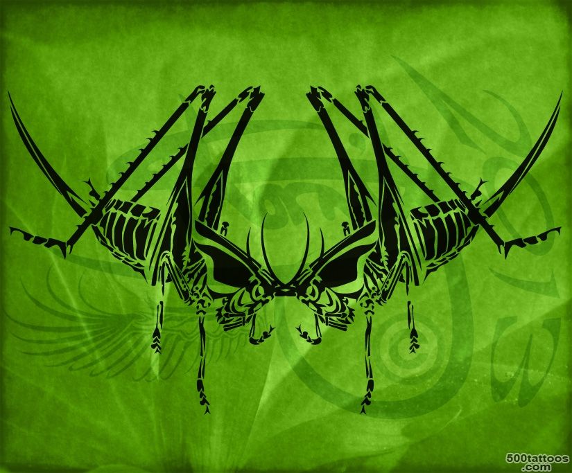 DeviantArt More Like Grasshopper Tribal Tattoo Design by Amoebafire_29