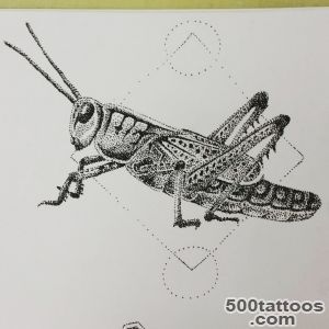 Grasshopper by khrys stole tears on DeviantArt_24
