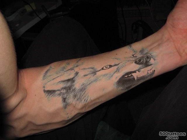 Grin of wolf tattoo on the arm   Tattooimages.biz_37