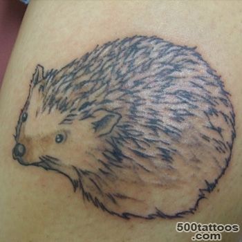 Hedgehog Tattoo Meanings  iTattooDesigns.com_6