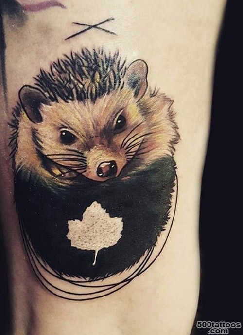 Hedgehog tattoos photos   Tattoo.wf_26
