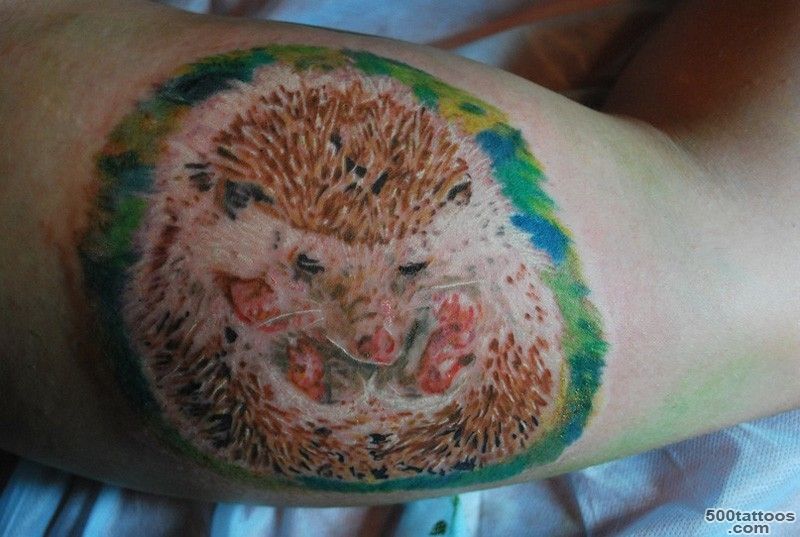 Hedgehog tattoos   Tattooimages.biz_38