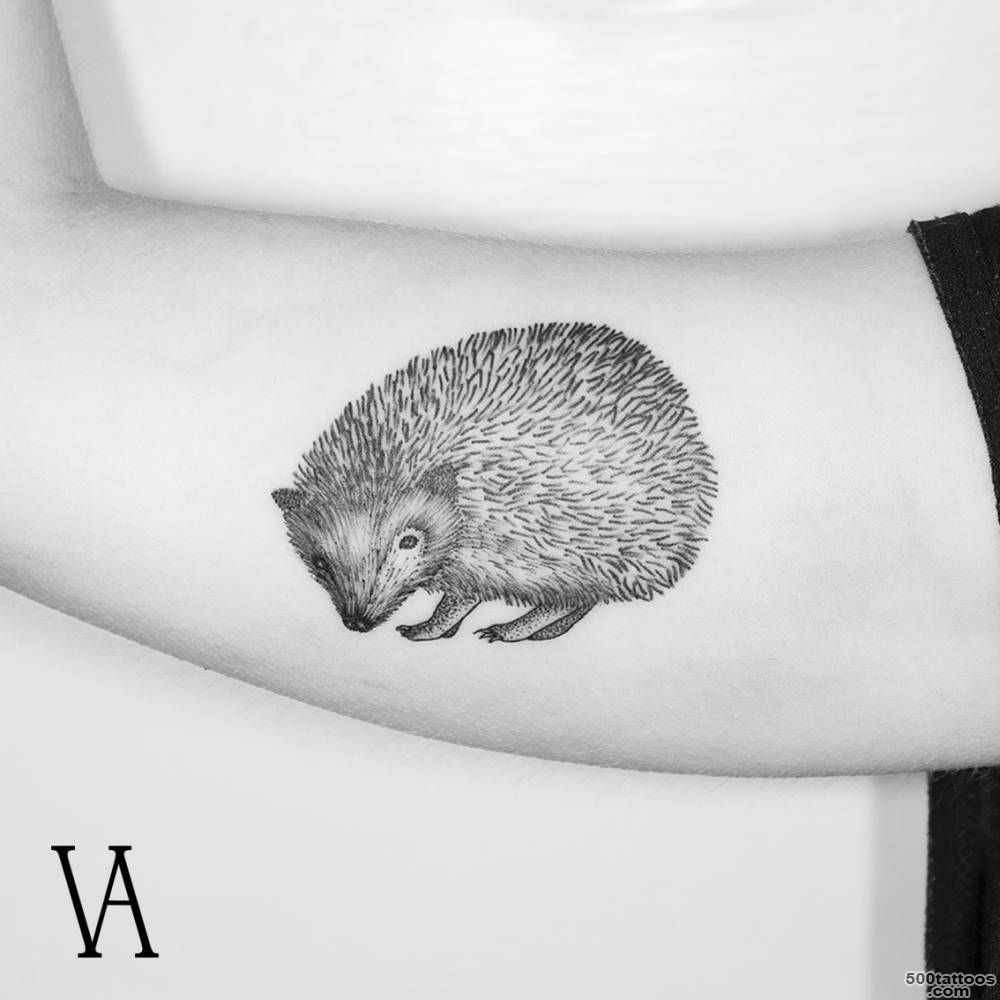 hedgehog tattoos  Tumblr_42