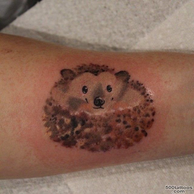 Small cute uncolored hedgehog tattoo   Tattooimages.biz_11