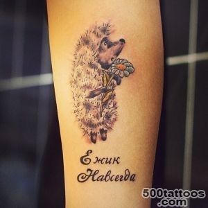 Beautiful color ink hedgehog tattoo on upper arm   Tattooimagesbiz_46