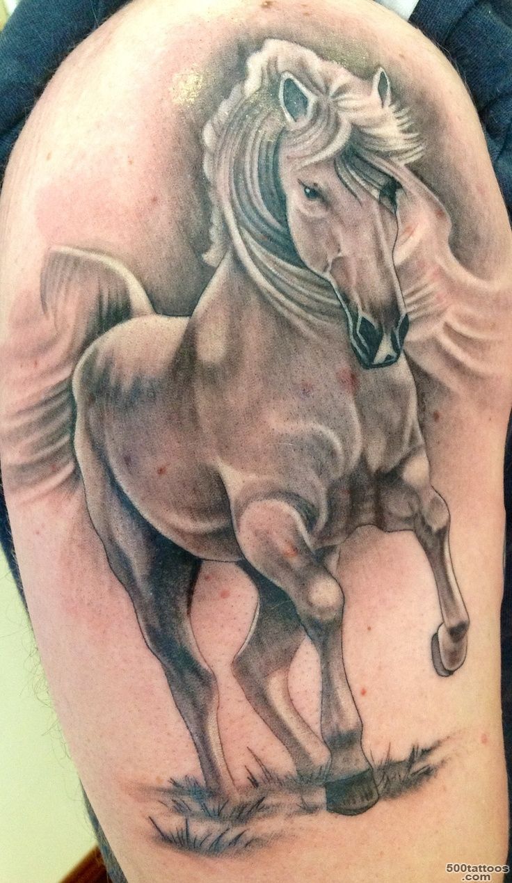 Horse tattoo by ian flynn  Tattoos  Pinterest_6