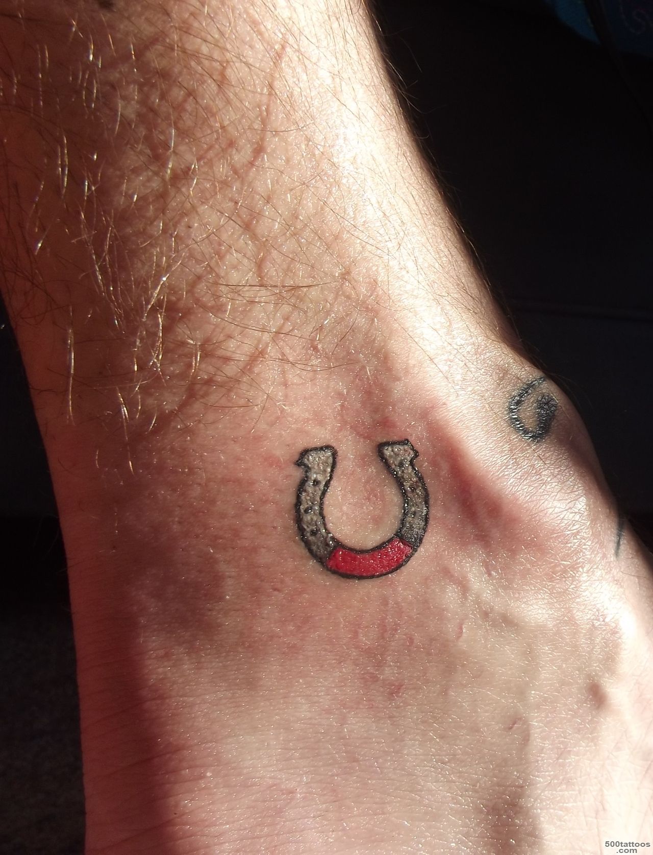 Horseshoe Tattoos Designs, Ideas and Meaning  Tattoos For You_24