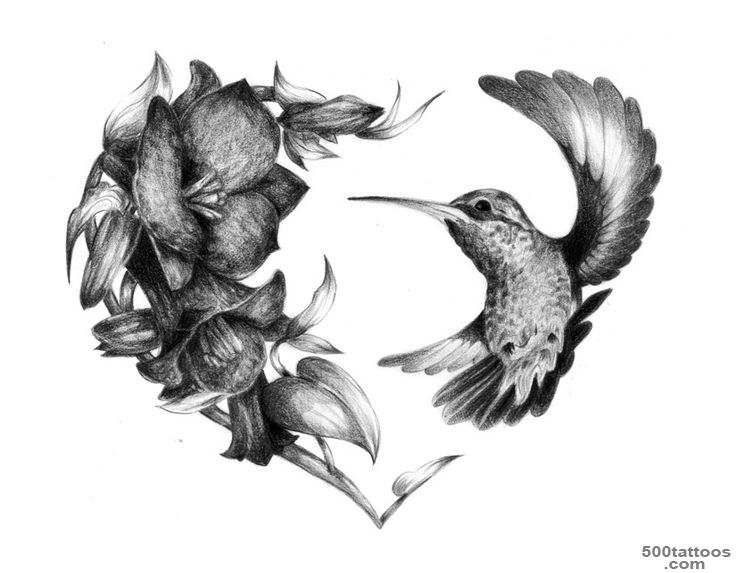 1000+ ideas about Hummingbird Tattoo on Pinterest  Tattoos ..._7