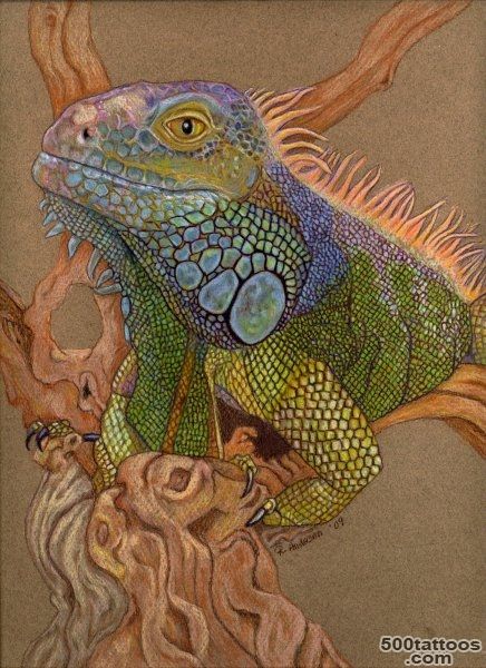 Animal Tattoos » Iguana Tattoo_21