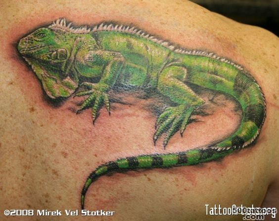 Free Iguana Tattoo Designs  iguana lizard tattoo by Mirek vel ..._18