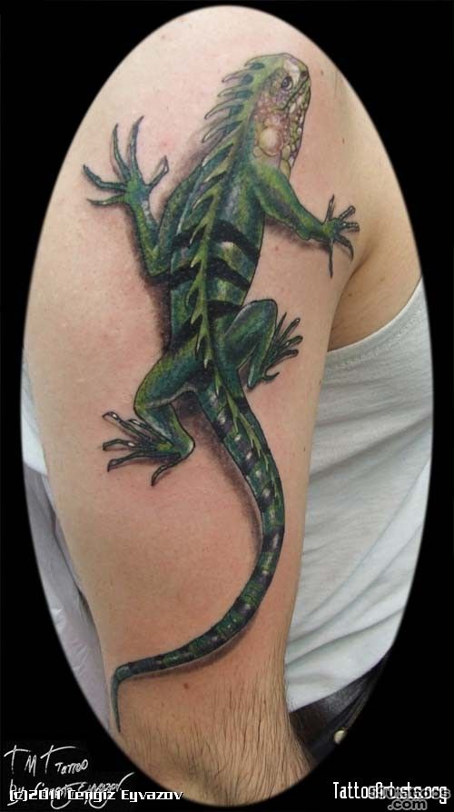 Pin Piercing Iguana Tattoo Pictures on Pinterest_11