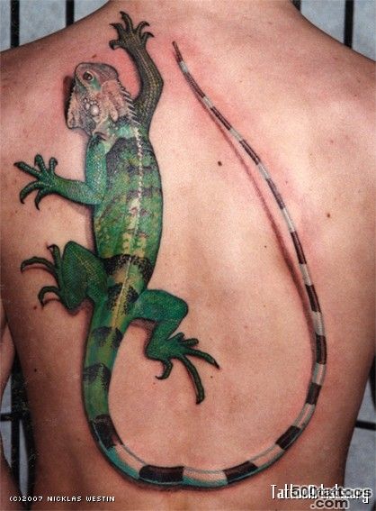 photo iguana tattoo ( 35 ) 1000 new ideas tatuirovki_14