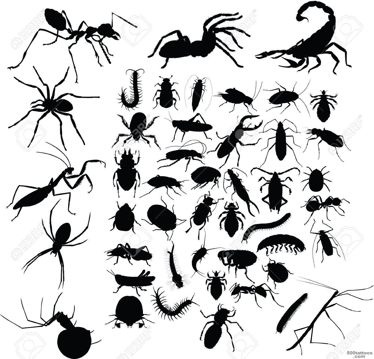 Insects Tattoo Royalty Free Cliparts, Vectors, And Stock ..._9
