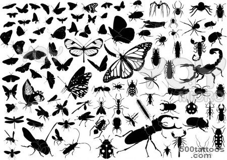 Insects Temporary Tattoo Design Real Photo, Pictures, Images and ..._23