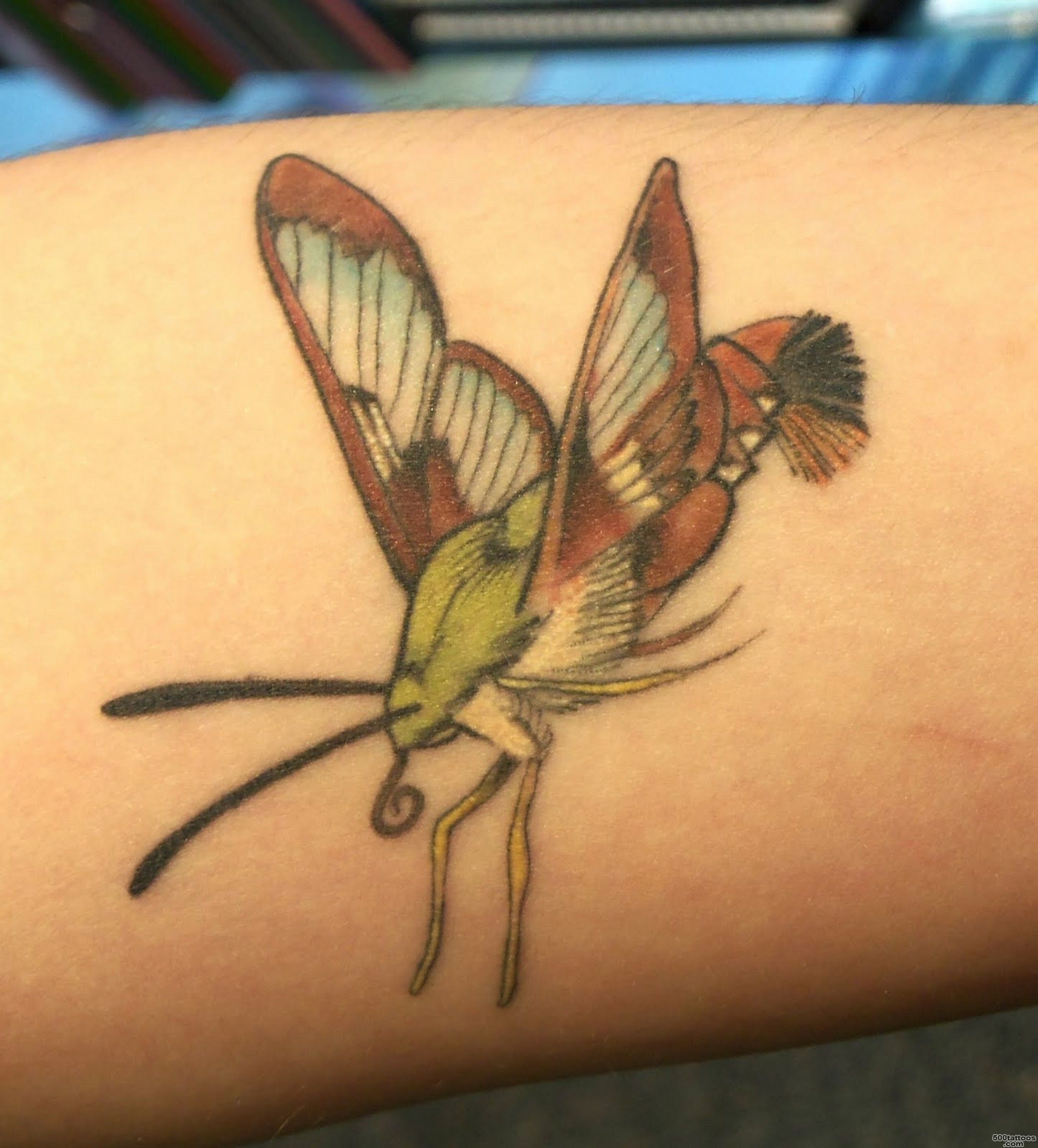 Insect Tattoos, Designs And Ideas  Page 47_16