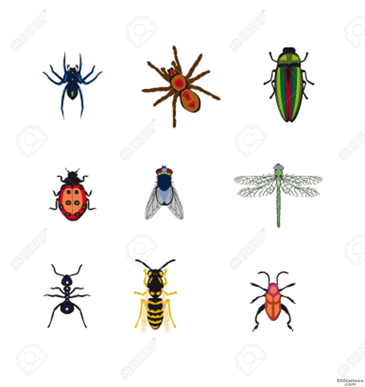 Set The Image Of Vector Insects Royalty Free Cliparts, Vectors ..._21