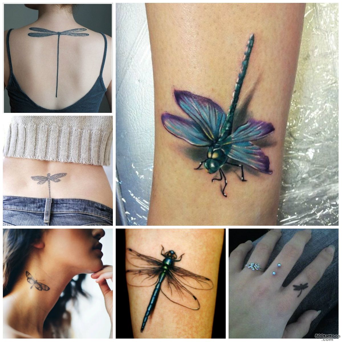 Stunning Dragonfly Tattoo Ideas  Tattoo Ideas Gallery amp Designs ..._43