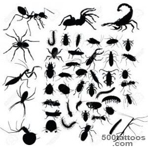 Insects Tattoo Royalty Free Cliparts, Vectors, And Stock _9