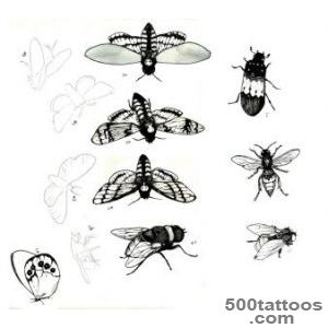 Insect Tattoos, Designs And Ideas  Page 16_3