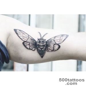 Insect Tattoos On Pinterest Insect Tattoo Cicada Tattoo And for _14