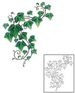 Ivy and Vine Tattoos and Tattoo Designs_12