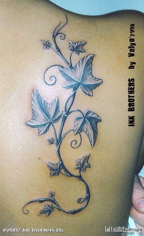 Ivy Flower Tattoo Ivy tattoo artistsorg picture  Sara   Ivy ..._18