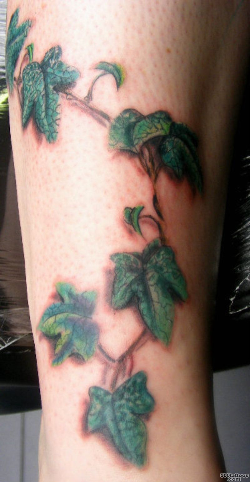 Ivy Tattoo Pictures at Checkoutmyink.com_19