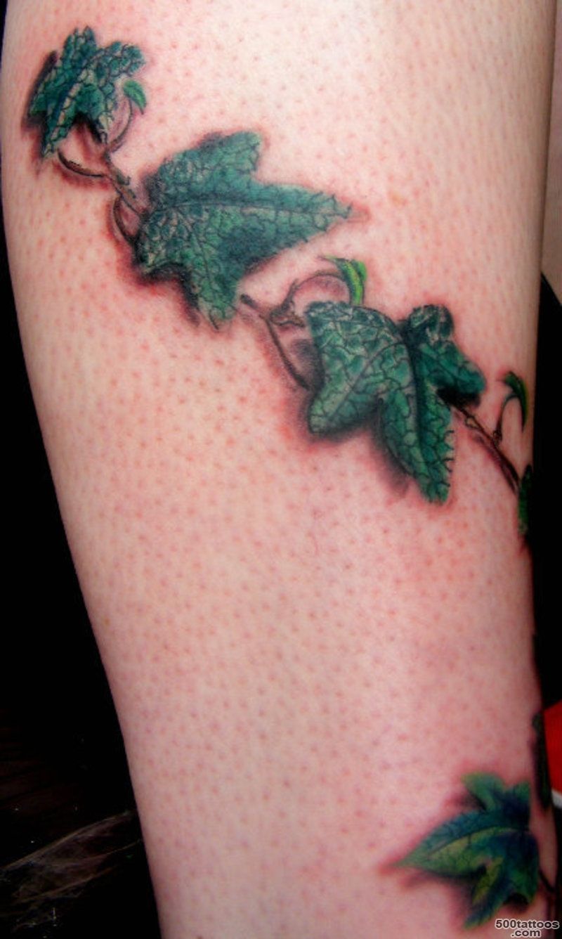 tatoos on Pinterest  Ivy Tattoo, Morning Glories and Floral Sleeve_49