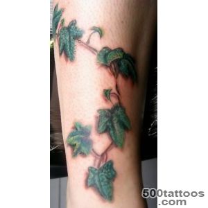 Ivy Tattoo Pictures at Checkoutmyinkcom_19