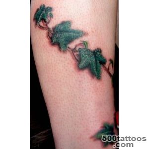 tatoos on Pinterest  Ivy Tattoo, Morning Glories and Floral Sleeve_49
