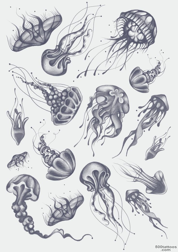 1000+ ideas about Jellyfish Tattoo on Pinterest  Tattoos, Octopus ..._1