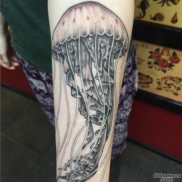 My absolutely GORGEOUS jellyfish tattoo by Anthony!  Yelp_28