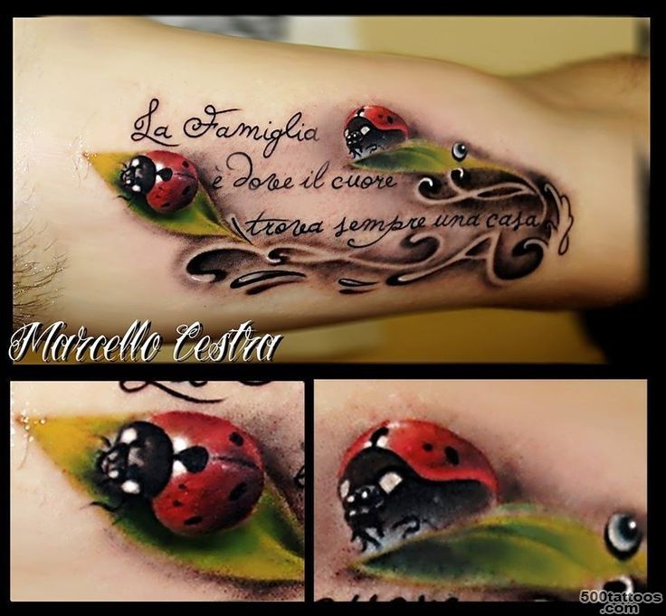 3d ladybug tattoo.  Tattoos  Pinterest  Ladybugs, Ladybug ..._9